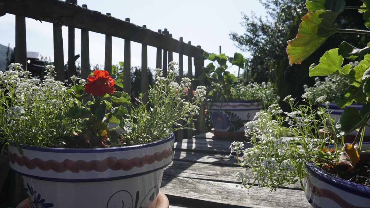 Casa Madrazo Con Piscina Y Parrillas Praves ภายนอก รูปภาพ